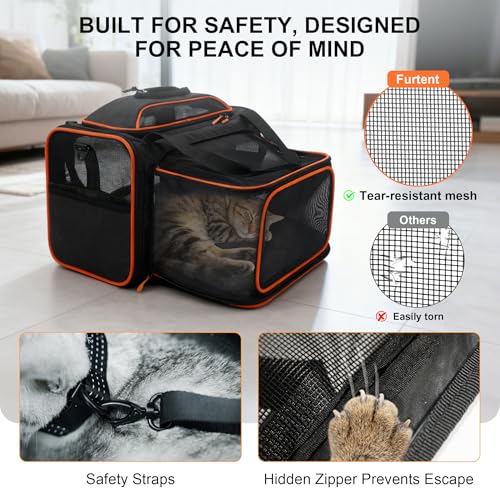 Expandable cat Carrier Soft Sided Airline Approved Pet Carrier Up to 12lbs | Top & Side Expandable, 360° Breathable Mesh, Anti-Collapse Frame, Built-in Safety Leash, Reversible Cushion for Cat Small Dog - color: Black