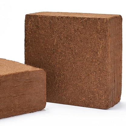 Mycelium Coco Coir Brick I Expandable Organic Coconut Fiber Substrate I Plants Potting Soil Mix for Indoor & Outdoor Gardening, Succulents & Cactus I OMRI Certified & Non-GMO Soil Alternative, 10lbs - style: Indoor Plants