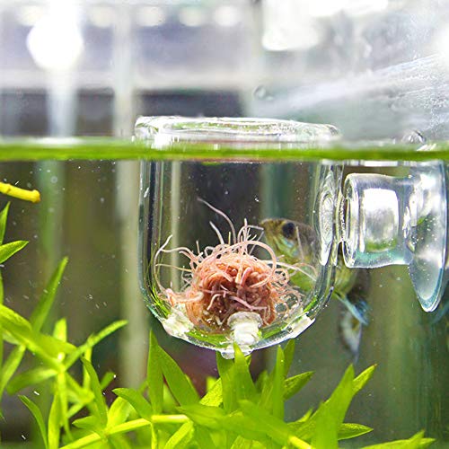 Fish Tank Feeding Cup, Aquarium Red Worm Food Container, Glass Feeder with Suction, Transparent Bowl for Feeding Shrimp Fish Reptiles (Glass Hole Cup)