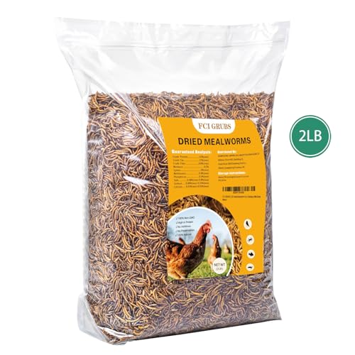 Dried Mealworms 2LB-High Protein Chicken Feed,More Protein,No Additives,Premium Organic Non-GMO,Rich in Protein Meal Worms for Chickens,Wild Birds,Laying Hens,Turkeys-Nutrient-Rich Mealworms - size: 2 Pound (Pack of 1)