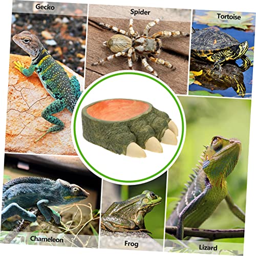 MERRYHAPY Reptile Food Container Bearded Pet Food Basin Snake Terrarium Lizard Water Dish
