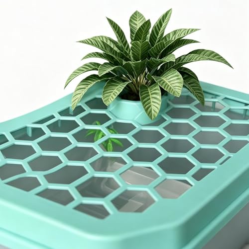 Turtle Aquarium Aquatic Reptile Terrarium | Small Turtle Tank for Living Room Basking Tortoise Crayfish Hermit Crabs Frog Reptile Desktop Home Breeding