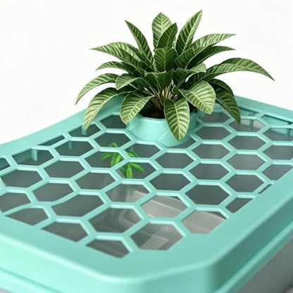 Turtle Aquarium Aquatic Reptile Terrarium | Small Turtle Tank for Living Room Basking Tortoise Crayfish Hermit Crabs Frog Reptile Desktop Home Breeding