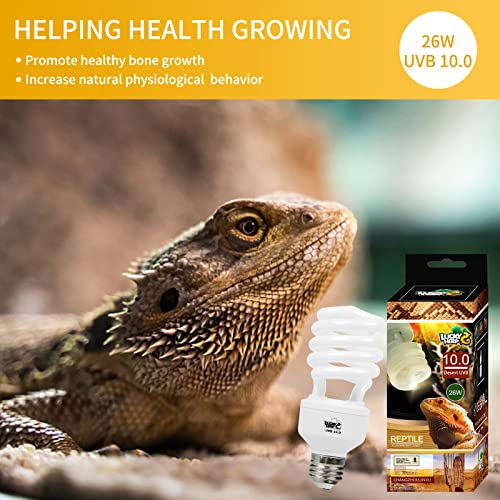 LUCKY HERP Desert UVA UVB Reptile Light Bulb 10.0 26W Compact Fluorescent Lamp - style: UVB10.0 26W
