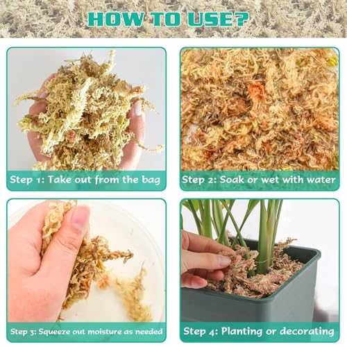 1.1 lb Sphagnum Moss for Plants Indoor, Natural Long Fiber Sphagnum Orchid Moss Bulk for Carnivorous Plants, Succulents, Monstera, Flower & Reptile Terrariums Habitats (Expands to 25 qt) - size: 1.1 pounds