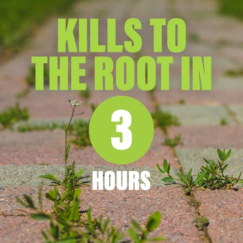 Green Gobbler Natural Total Control Weed & Grass Killer | Made with Concentrated Salt & Vinegar | Pet Safe | Kills to The Root | 1 Gallon Trigger - size: 1 Gallon with Trigger Sprayer