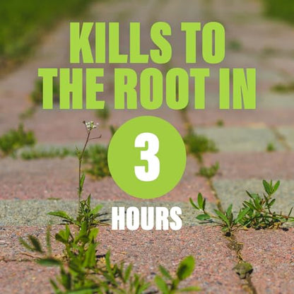 Green Gobbler Natural Total Control Weed & Grass Killer | Made with Concentrated Salt & Vinegar | Pet Safe | Kills to The Root | 1 Gallon Trigger - size: 1 Gallon with Trigger Sprayer