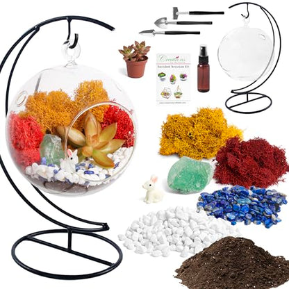 Creations by Nathalie - 5" Glass Globe Succulent Terrarium Kit, Hanging DIY Starter Kit for Kids and Adult, Metal Stand, Reindeer Moss, Crystal & Rocks, Tools, Figurine (Live Plant Included) - color: Globe Glass