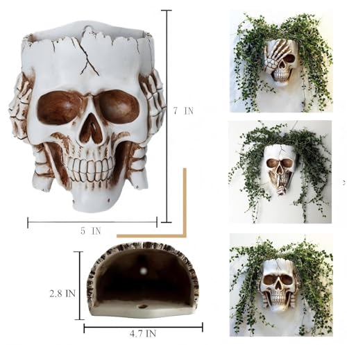 Resin Air Plant Holders,Tilandsia Container,Gothic Skeleton Planter,Halloween Plant Pot,Tillandsia Pot, Skull Table Top Display Planters for Air Plants and Other (7 * 5 * 3.2'',White No.3) - size: 7*5*3.2'',White No.3