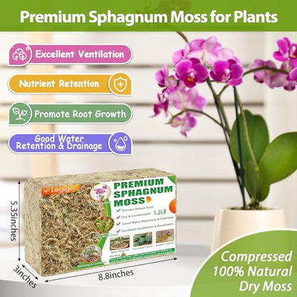 1.2LB Sphagnum Moss for Plants- 20QT Natural Long Fibers Orchid Moss | Moisture Retention & Drainage Balance, Plant Moss for Orchids, Succulents, Carnivorous, Ferns, Reptile Bedding & Terrariums - size: 20 QT(1.2 lb)