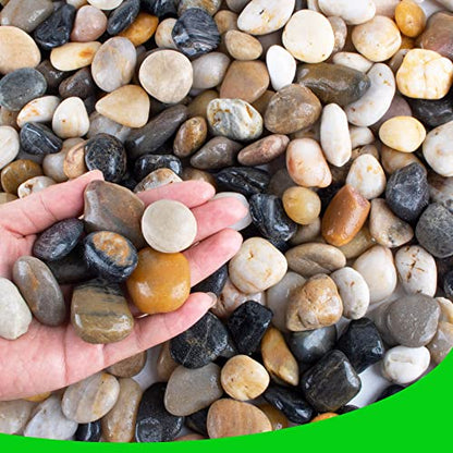 Pebbles for Plants 3 lb Natural Garden Decorative Stone Outdoor Aquariums Gravel 1-1.5 Inches - size: 3LB, style: Colour