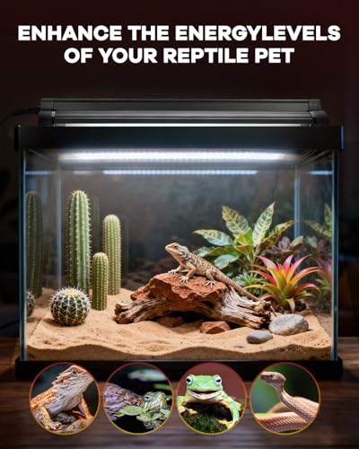 UVB Light for Reptile 8W, T5 UVB Reptile Light Fixture HO Combo Kit with Test Sensor Cards, 12" High Output Reptiles Light Bar UVA UVB Desert Lamp for Turtle Lizard Bearded Dragon Tank - color: 8w-12.2in Black