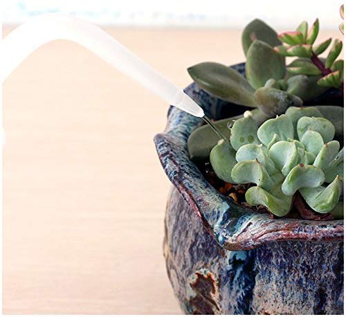 Mkono 2 Pack Squeeze Succulent Watering Bottle, 250ML & 500ML Waterer Can | Small White Can,Bend Mouth Precise Pouring, for Seedlings & African Violets,Safety Plastic, Indoor House Plant Flower Use