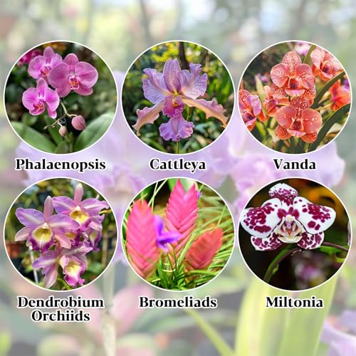 Sukh Orchid Potting Mix - 8.82 Oz Moss Bark Orchid Soil with Sphagnum Moss and Bark for Succulent, Carnivorous Plant, Monstera, Indoor Potting