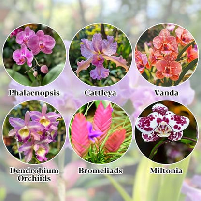 Sukh Orchid Potting Mix - 8.82 Oz Moss Bark Orchid Soil with Sphagnum Moss and Bark for Succulent, Carnivorous Plant, Monstera, Indoor Potting