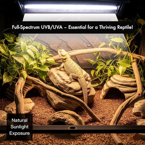 T5 HO UVB Reptile Light Kit – High-Output 24W 10.0 UVB for Reptiles – Liner UVB Light Ideal for Bearded Dragons, Tortoise & Lizard, T5 UVB Light Fixture and Bulb