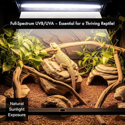 T5 HO UVB Reptile Light Kit – High-Output 24W 10.0 UVB for Reptiles – Liner UVB Light Ideal for Bearded Dragons, Tortoise & Lizard, T5 UVB Light Fixture and Bulb