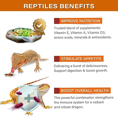 Gargeer 2oz Bearded Dragon Salad Topper. Enhanced Appetite, Made in USA | Enhances dragon salads & veggies! Rich in calcium, D3, amino acids & vitamins for robust digestion & vibrant health - size: 2 Ounce (Pack of 1)