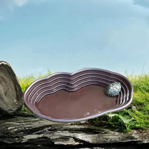 Reptile Feeding Dish Reptile Feeding Water Bowl Turtle Water Bowl Reptile Bathing Pool for Semi Aquatic Chameleon Gecko Rest, no Drainage - color: no drainage