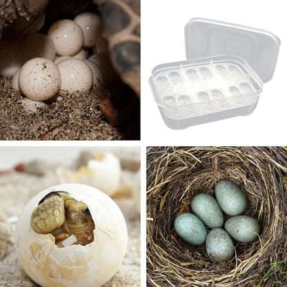 Reptile Breeding Incubator 12 Grids Reptile Egg Incubator Tray | Transparent Amphibians Incubation Tray for Gecko Lizards Snake Lions Mane