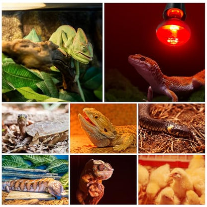 MIXJOY 100W Reptile Heat Lamp Bulb Combo, 2PCS Day & Night Reptile Heat Bulbs, UVA Daylight Intense Heat Basking Bulb Infrared Heat Light Bulb for Reptiles, Lizard, Tortoise, Bearded Dragon Chickens - style: 100W Day&Night Bulbs
