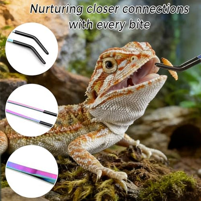 2PCS Stainless Steel Reptile Feeding Tongs, 10.6" Straight and Curved Tweezers for Bearded Dragon Tank Accessories, Planted Tank Tools Feeder for Lizards