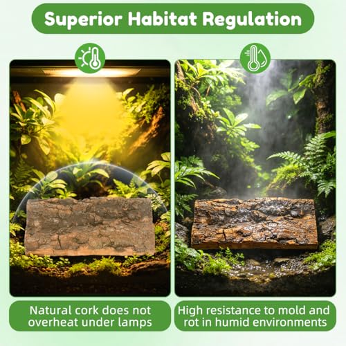 Natural Cork Bark for Reptiles - 3Pcs Reptile Hide & Terrarium Decor Set - Wood Log Rounds & Flats for Leopard Gecko, Bearded Dragon, Snake & Crested Gecko Habitat - Climbing Surface