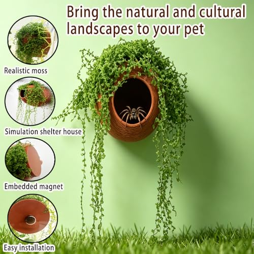 Jumping Spider Hidden Habitat Set (Decorated) - Jumping Spider Cage Accessories - Fun Perimeter Accessories for Climbing and Hiding