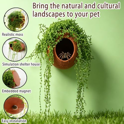 Jumping Spider Hidden Habitat Set (Decorated) - Jumping Spider Cage Accessories - Fun Perimeter Accessories for Climbing and Hiding