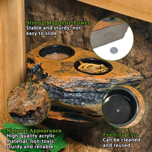 Tfwadmx Magnetic Reptile Feeder Ledge, Gecko Feeder Ledge with 6 Cups Reptile Feeding Bowls Food Dish Water Bowl Tank Accessories for Lizards Chameleons Frog(Blown) - color: Brown