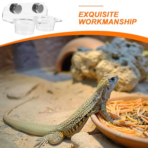 Kisangel Magnetic Reptile Feeding Cup Ledge Gecko Feeder Ledge with 20 Cups Acrylic Food and Water Dish for Small Lizards Terrarium Feeding Rack 4.72 X 2.55 X 2.16 in