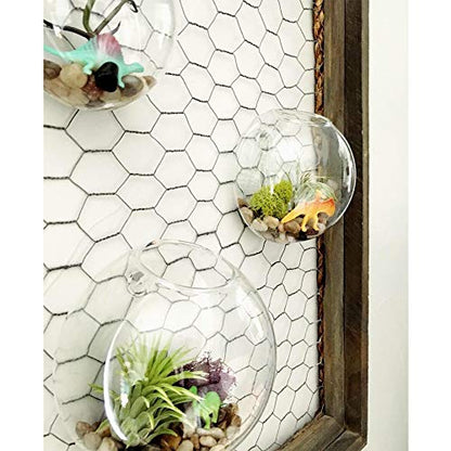 WGV Wall Hanging Planter Terrarium Bulk, Diameter 5", Clear Mounted DIY Succulents Air Glass Floral Container Vase, Tea Light Votive Candle Holder for Decoration 6 Pieces - size: 5"D