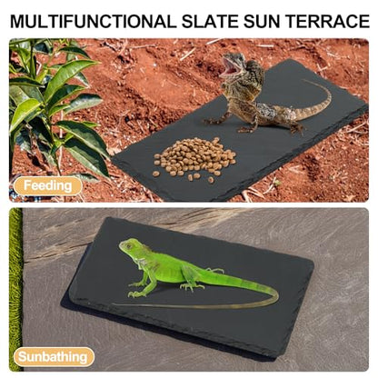 Reptiles Slate Rocks, Basking Surface Reptile Basking Platform, Enhances Climbing Activity, 11.81"x5.91", Black Gray - size: 11.81"x5.91"