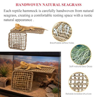Bearded Dragon Hammock with Built-in Steel Frame, Easy One-Side Mount Reptile Hammock, Flat-Stable Seagrass Lizard Bed & Climbing Ladder for Bearded Dragon Tank (Rectangular Hammock)