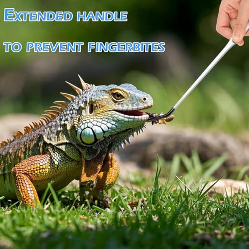 4 Pcs Reptile Feeding Tools Set with Silicone Tips - Extra Long Straight&Curved Tongs, Spoons - Stainless Steel Terrarium Feeder Kit for Bearded Dragons, Lizards, Snake, Spiders, Aquarium