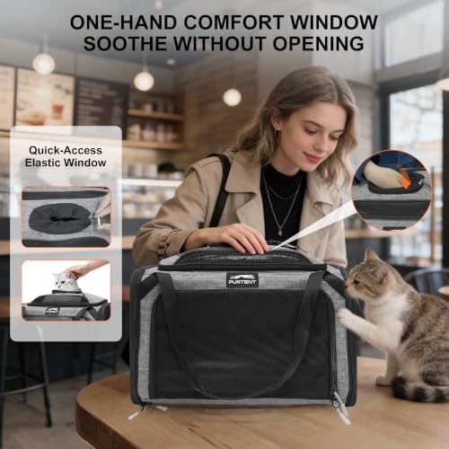 Expandable cat Carrier Soft Sided Airline Approved Pet Carrier Up to 12lbs | Top & Side Expandable, 360° Breathable Mesh, Anti-Collapse Frame, Built-in Safety Leash, Reversible Cushion for Cat Small Dog - color: Grey