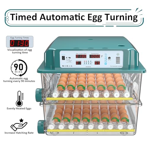 Egg Incubator for Hatching 120 Eggs with 5 Auto Incubation Models | Precise Temp & Humidity Control, Auto Egg Turning, External Water Refill, Egg Candler, Dual Power Supply, Adjustable Roller