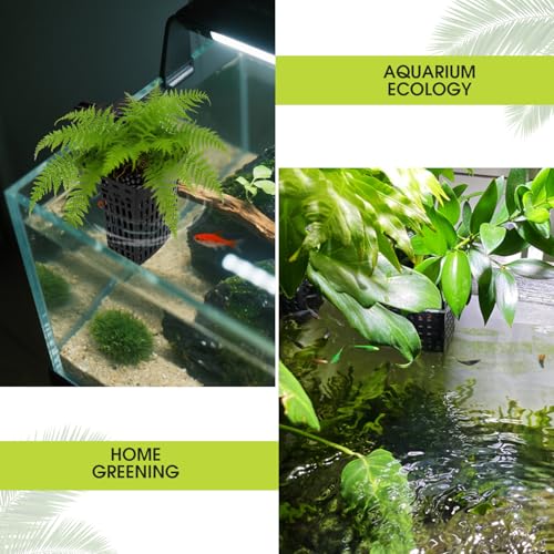 2 PCS Upgraded Aquarium Plant Holder, Adjustable Thickness Height Fish Tank Plant Holder with 2 Extension Hooks and 2 Suction Cups for Fish Tank Aquaponic Cultivation - color: Black