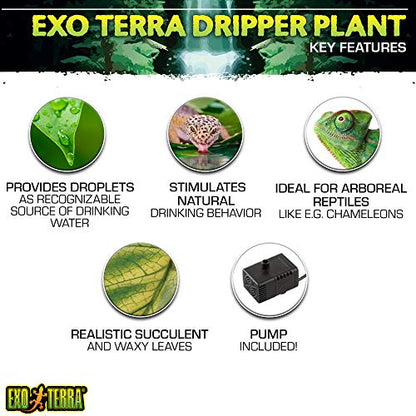 Exo Terra Dripper Plant, Large - size: Large