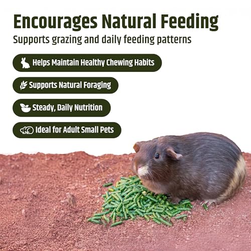 High Desert Timothy Hay Pellets for Rabbits, Guinea Pigs, Small Pets, 63 oz | Compressed Grass Fiber Formula, Supports Healthy Digestion, Great For Chinchillas, Hand Packed in the USA, Low Dust Mess Free - size: 3.94 Pound (Pack of 1)