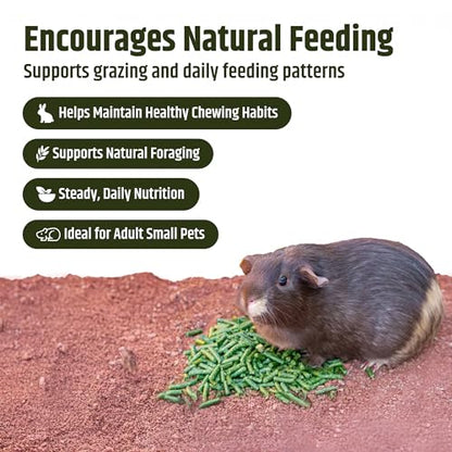 High Desert Timothy Hay Pellets for Rabbits, Guinea Pigs, Small Pets, 31 oz | Compressed Grass Fiber Formula, Supports Healthy Digestion, Great For Chinchillas, Hand Packed in the USA, Low Dust Mess Free - size: 1.94 Pound (Pack of 1)