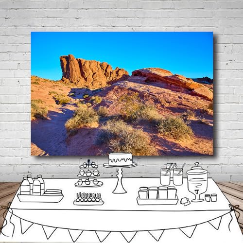7x5FT Desert Backdrop Reptile Habitat Blue Sky Desert Rocky Bush Natural Scenery Photography Background Aquarium Background Hiking Camping Pictures Home Decor Photo Studio Props - color: Natural landscape backdrop 3