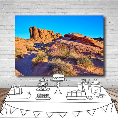 7x5FT Desert Backdrop Reptile Habitat Blue Sky Desert Rocky Bush Natural Scenery Photography Background Aquarium Background Hiking Camping Pictures Home Decor Photo Studio Props - color: Natural landscape backdrop 3