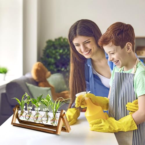 XXXFLOWER Plant Terrarium with Wooden Stand Desk Plant 5 Bulb Vase | Terrarium Kit Glass Propagation Vases Tabletop Propagation Station, Metal Swivel Holder Retro Rack - size: 5 Bulb Vase
