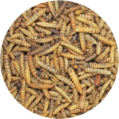 Exotic Nutrition 5LB Bulk Dried Black Soldier Fly Larvae - High-Calcium Insect Treat - Chickens, Wild Birds, Bluebirds - size: 5 Pound (Pack of 1)