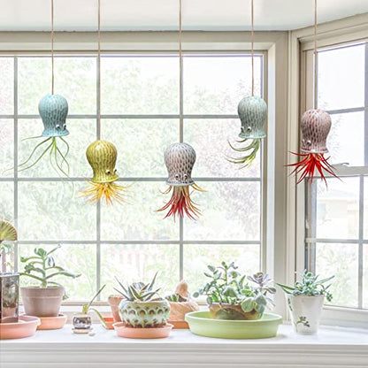 5 Pack Air Plant Holder Unique, Cute Octopus Air Plant Hanger Wall Planter, Ceramic Tillandsia Airplants Holders Hanging Wall Decor for Home Office (Small (2 x 3.2 in)) - size: Octopus-Small (2 x 3.2 in)