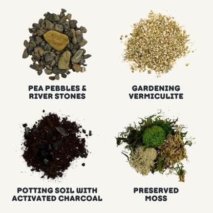 Terrarium Starter Kit | Moss, Vermiculite, Soil, Pebbles, Plant Food, Finishing Tools, Build and Care Guide | DIY Succulent Terrarium for Adults and Kids (Medium) - size: Medium Kit