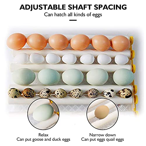 Egg Incubator - Egg Incubator with Automatic Egg Turning and Humidity Control,Large Poultry Hatcher for Chickens Birds Ducks (182 Eggs) (182 Eggs)