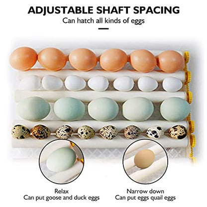 Egg Incubator - Egg Incubator with Automatic Egg Turning and Humidity Control,Large Poultry Hatcher for Chickens Birds Ducks (182 Eggs) (182 Eggs)