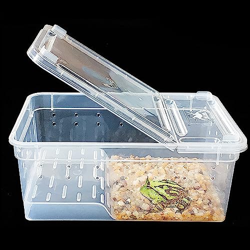 Critter Keeper Ant Farm Cane Toad Trap Little Live Pets Bug Catcher Kit for Kids Frog Habitat Turtle Tank Reptile Terrariums Lizard Cage Fish Bowl Beach Aquarium Catch and Release - size: 2